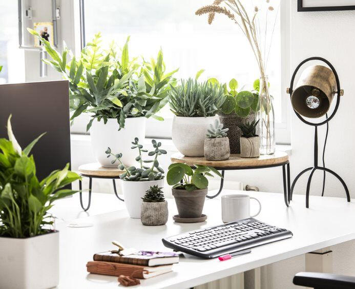 Massages op de werkvloer, anti-stress, burnout voorkomen, anti-rsi Subtiel alternatief voor stoelmassage, ontspanning door aanraking